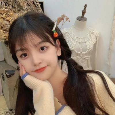 我的特务女友